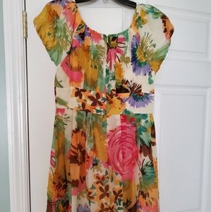 🍁suzi chin floral silk dress